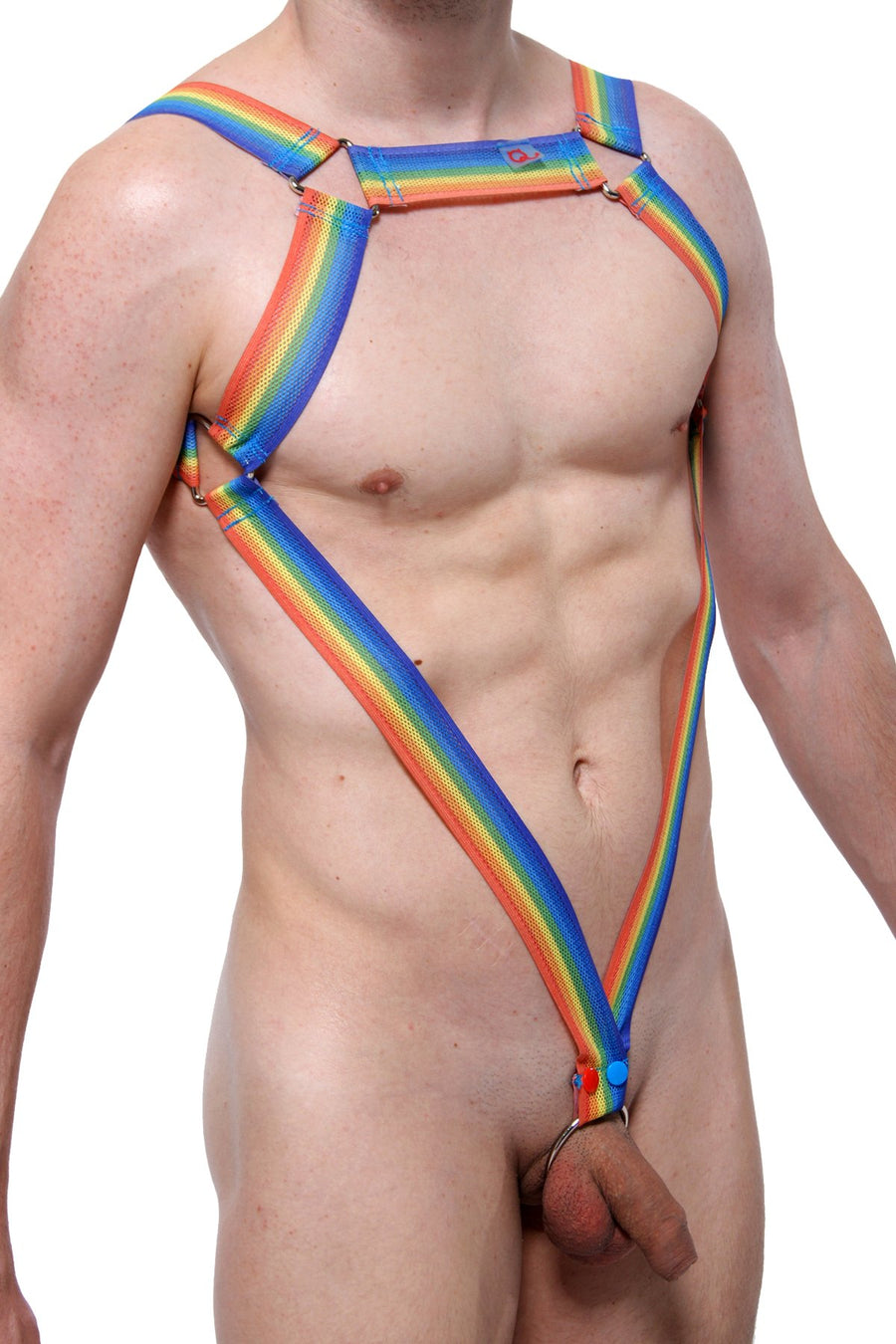 PetitQ Rainbow Dunzio Harness