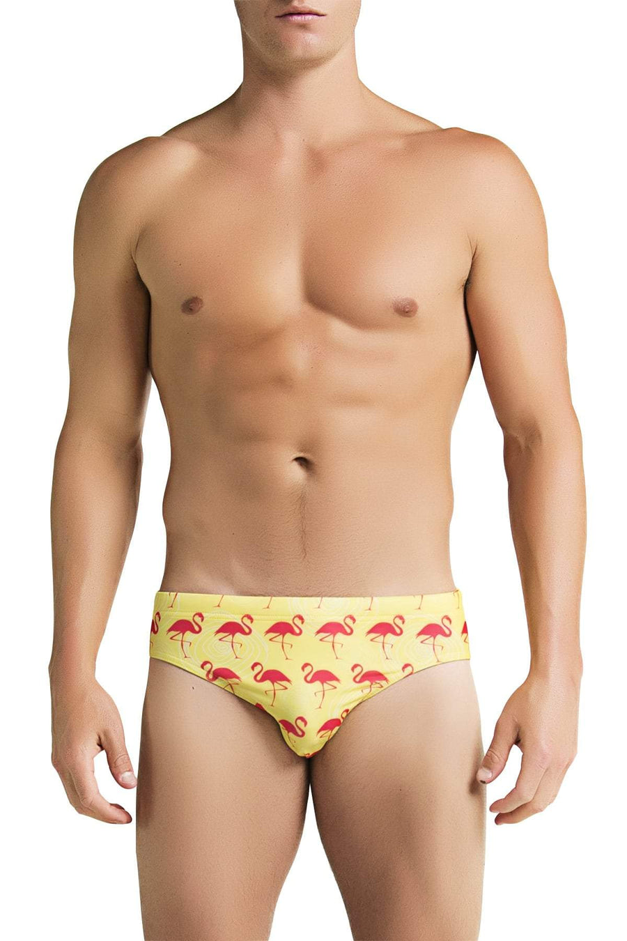 PoolBoy Flamingo Swim Brief