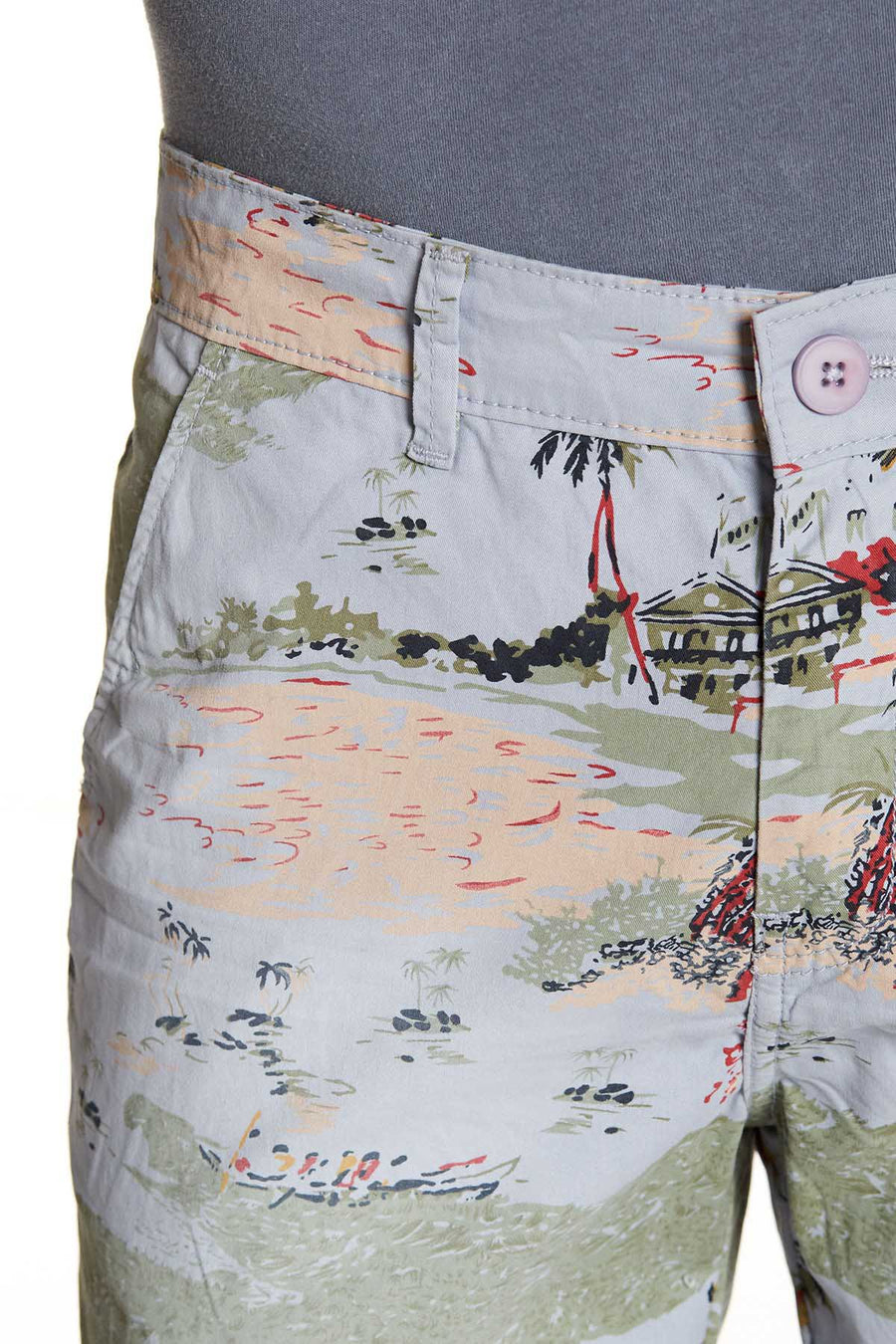 Pop Icon Blue Island Flat Front Short
