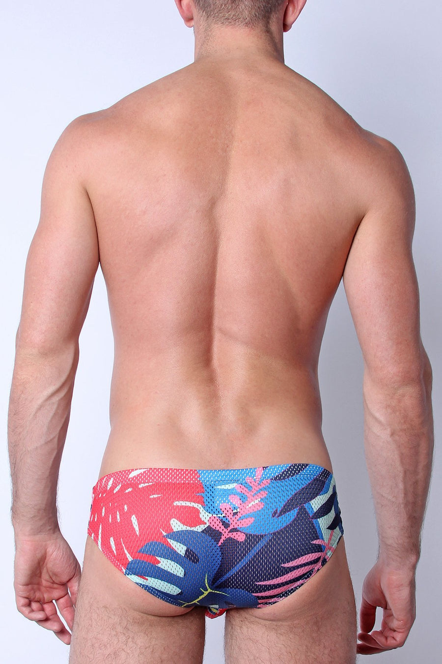 Safari Low Rise Swim Brief Palm Pink