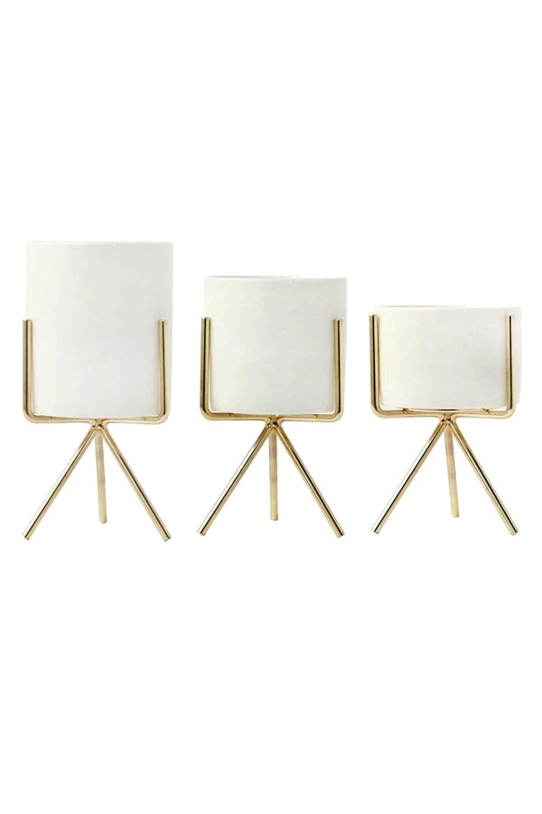 Set of 3 Succulent Planters With Stands