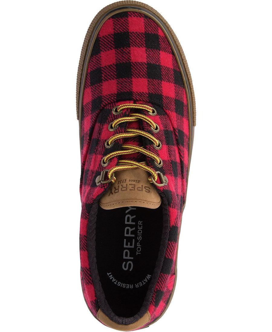 Sperry Striper Storm Cvo Wool Sneakers Red