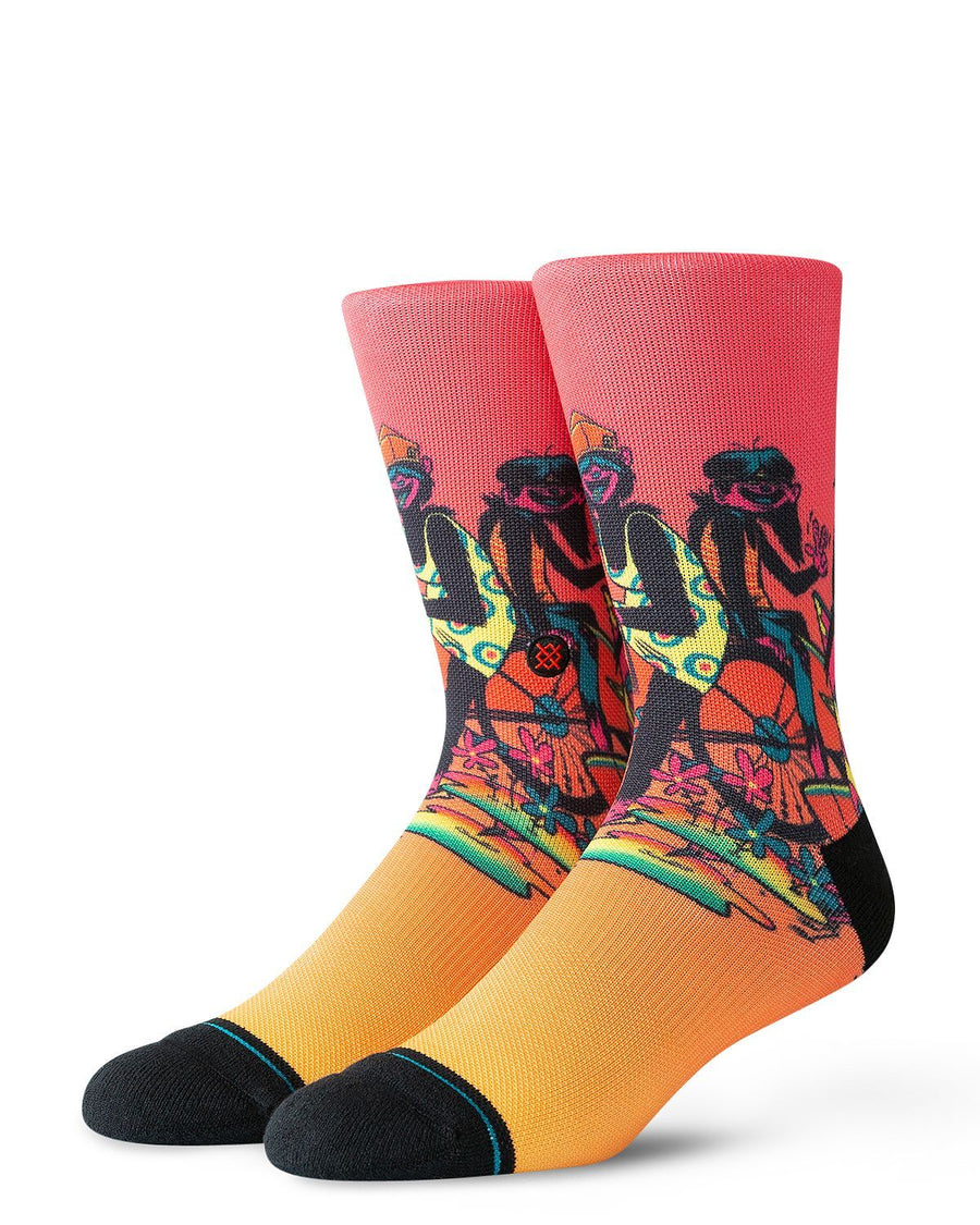 Stance Cruising Socks Multi