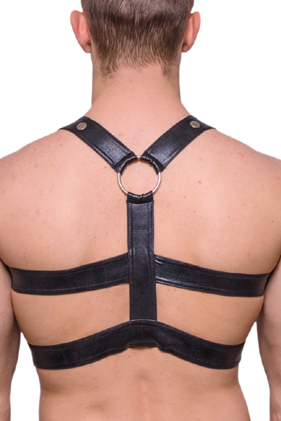 Tartarus Black Gladiator Harness