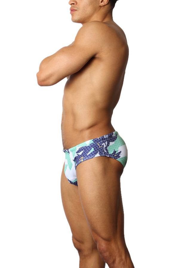 Timoteo Laguna Lakeshore Low-Rise Swim Brief