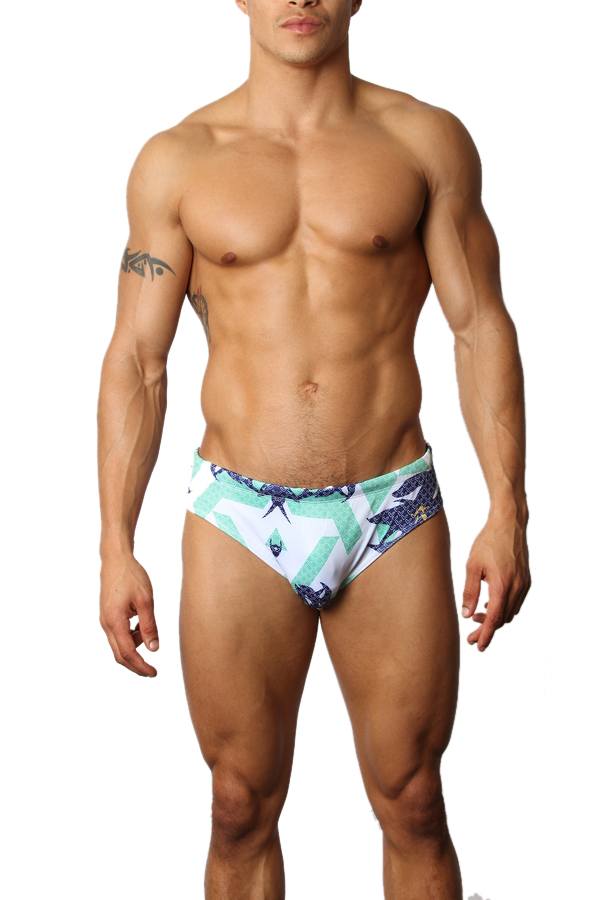 Timoteo Laguna Lakeshore Low-Rise Swim Brief