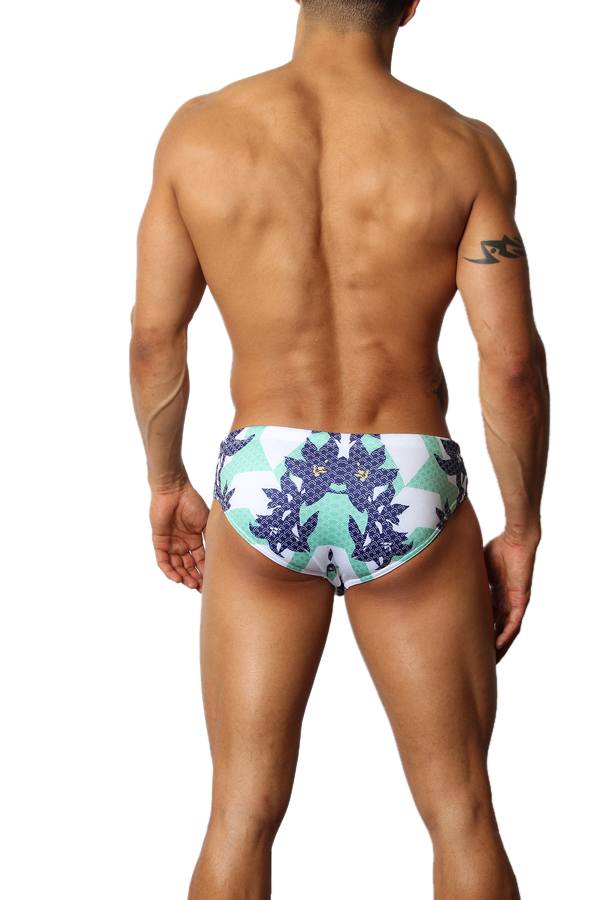 Timoteo Laguna Lakeshore Low-Rise Swim Brief