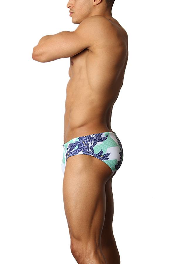 Timoteo Laguna Lakeshore Low-Rise Swim Brief
