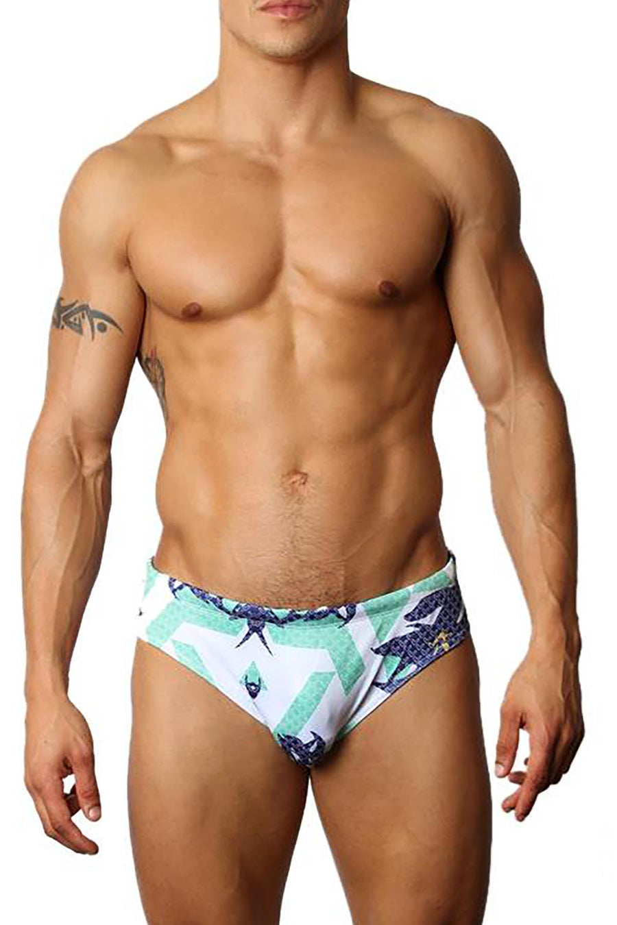 Timoteo Laguna Lakeshore Low-Rise Swim Brief