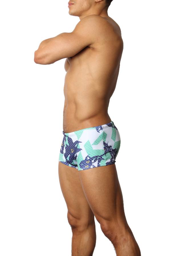 Timoteo Laguna Open-Water Swim Trunk