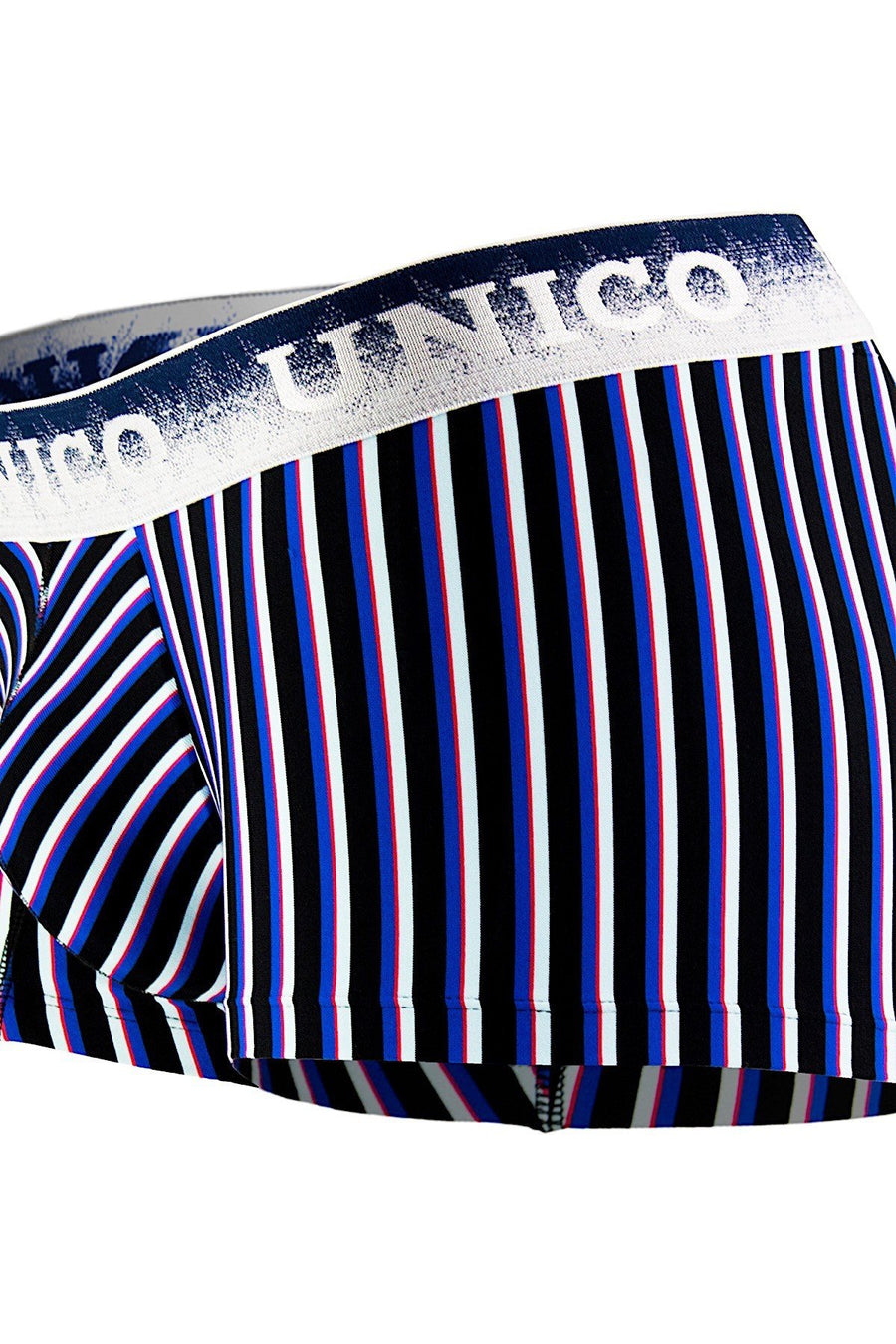 Unico Blue/Multi-Color Striped Lucid Trunk