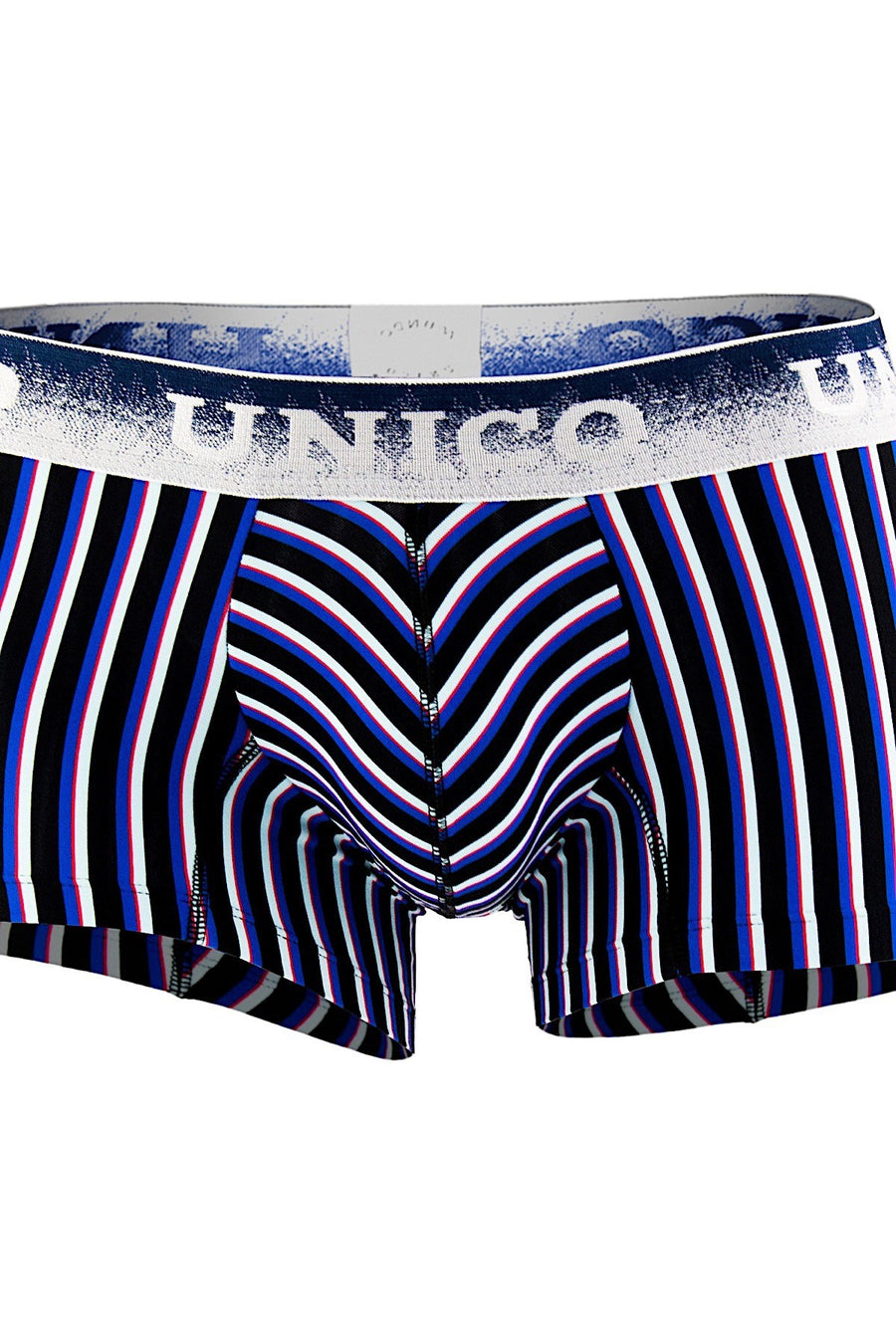 Unico Blue/Multi-Color Striped Lucid Trunk