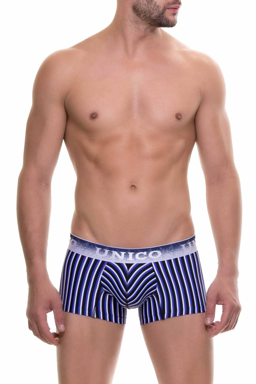 Unico Blue/Multi-Color Striped Lucid Trunk