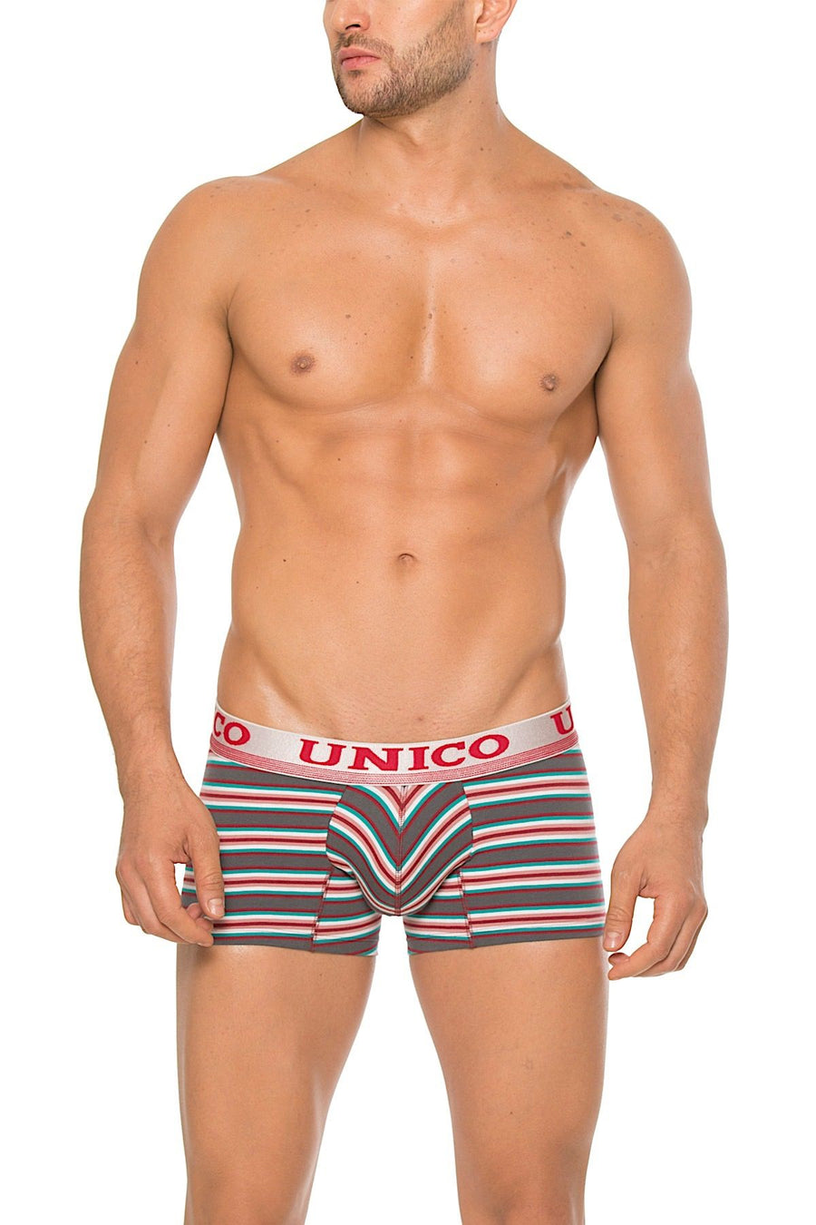 Unico Red/Grey/Multi-Color Copper Trunk