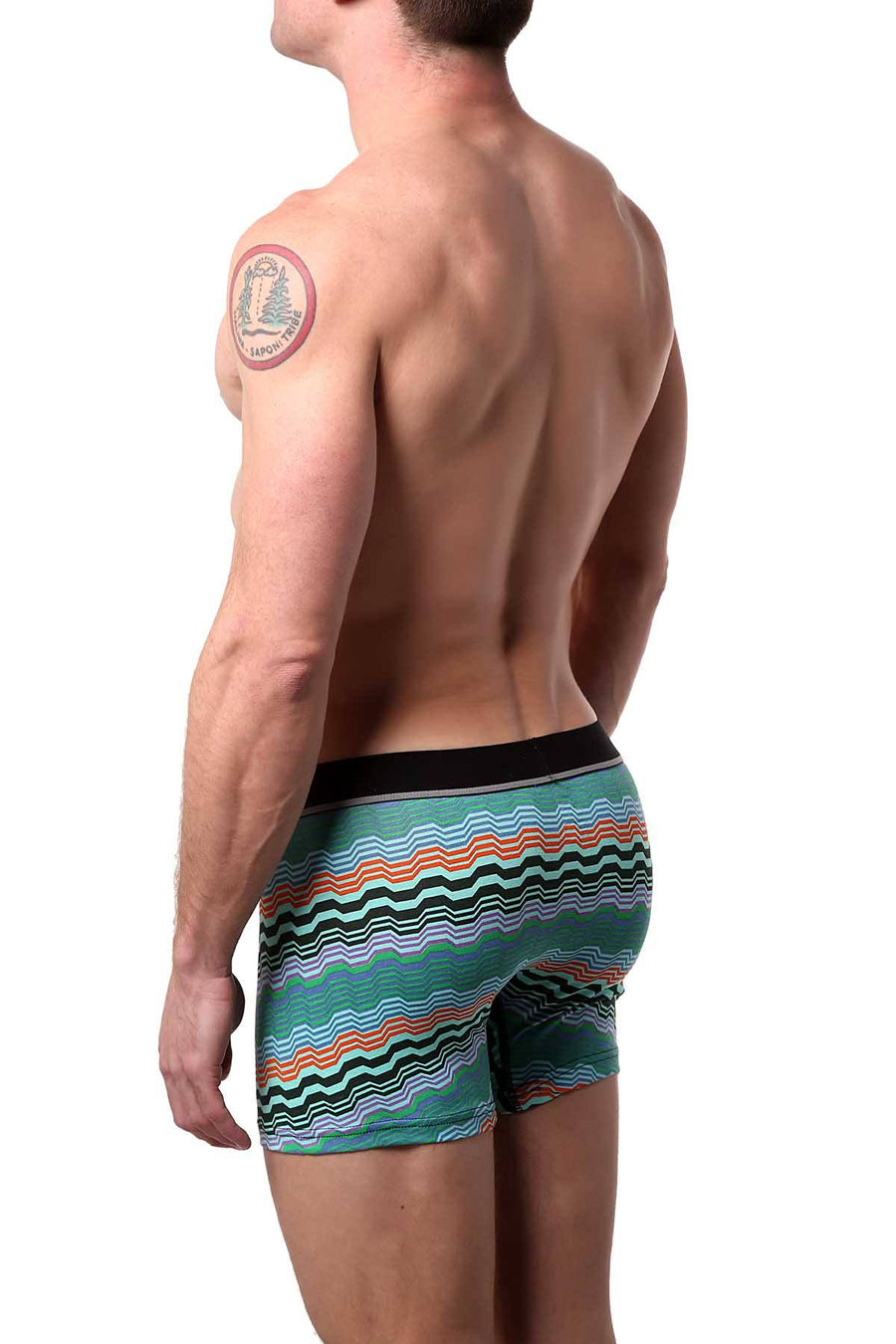 Unsimply Stitched Aqua/Green Geo-Swell Trunk