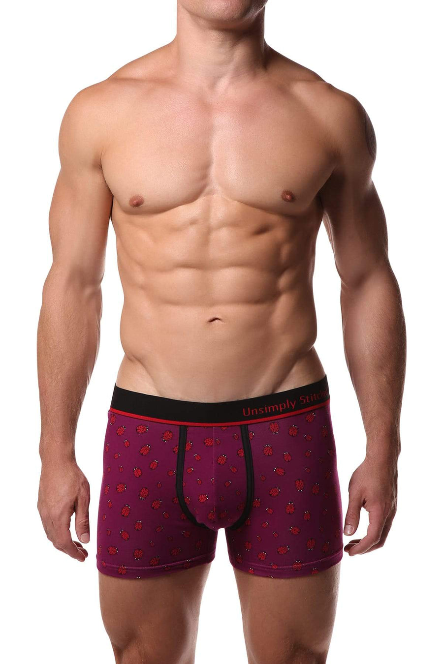 Unsimply Stitched Ladybug Trunk