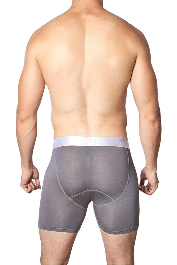 Yocisco Grey Essentials Boxer Brief