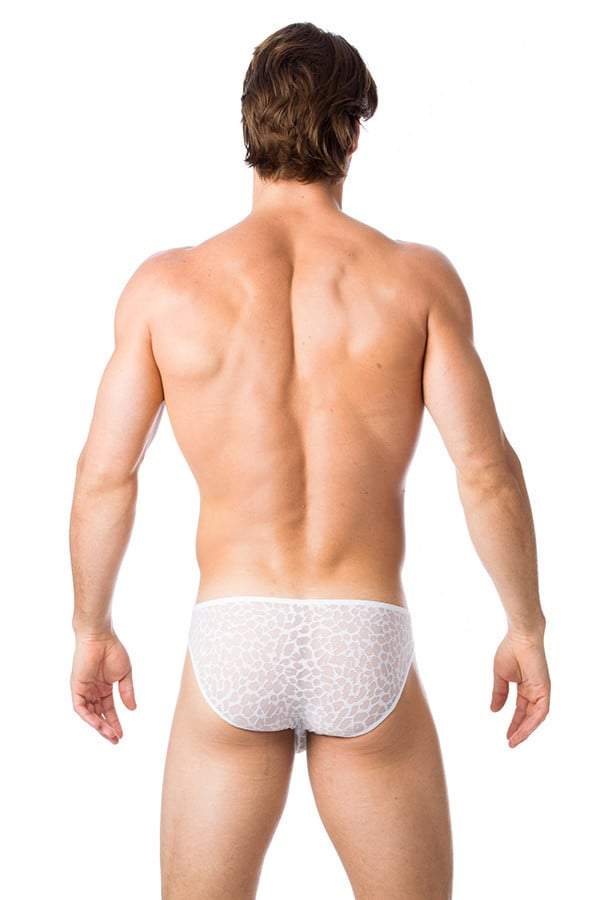 Gregg Homme White Appeal Brief
