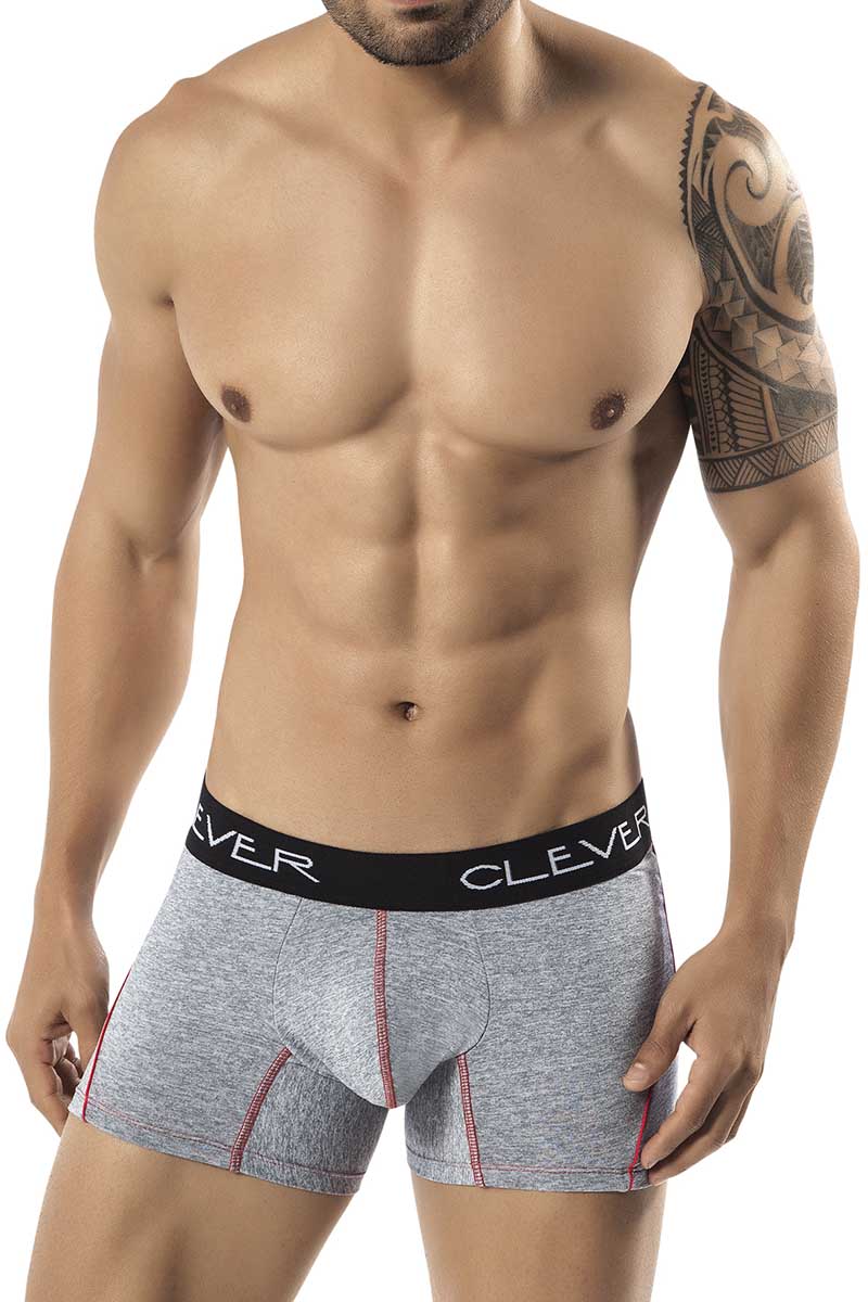 Clever Grey Morelo Boxer