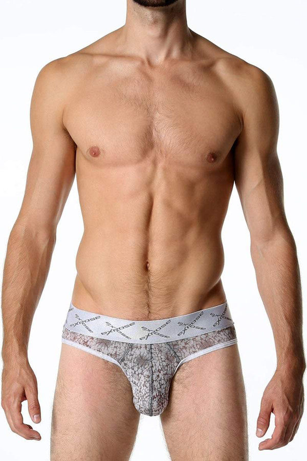 Expose Grey Low-Rise Sheer Brief