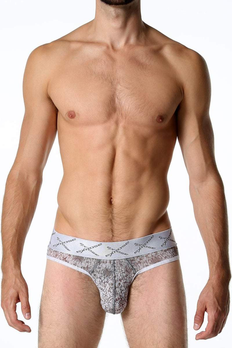 Expose Grey Low-Rise Sheer Brief