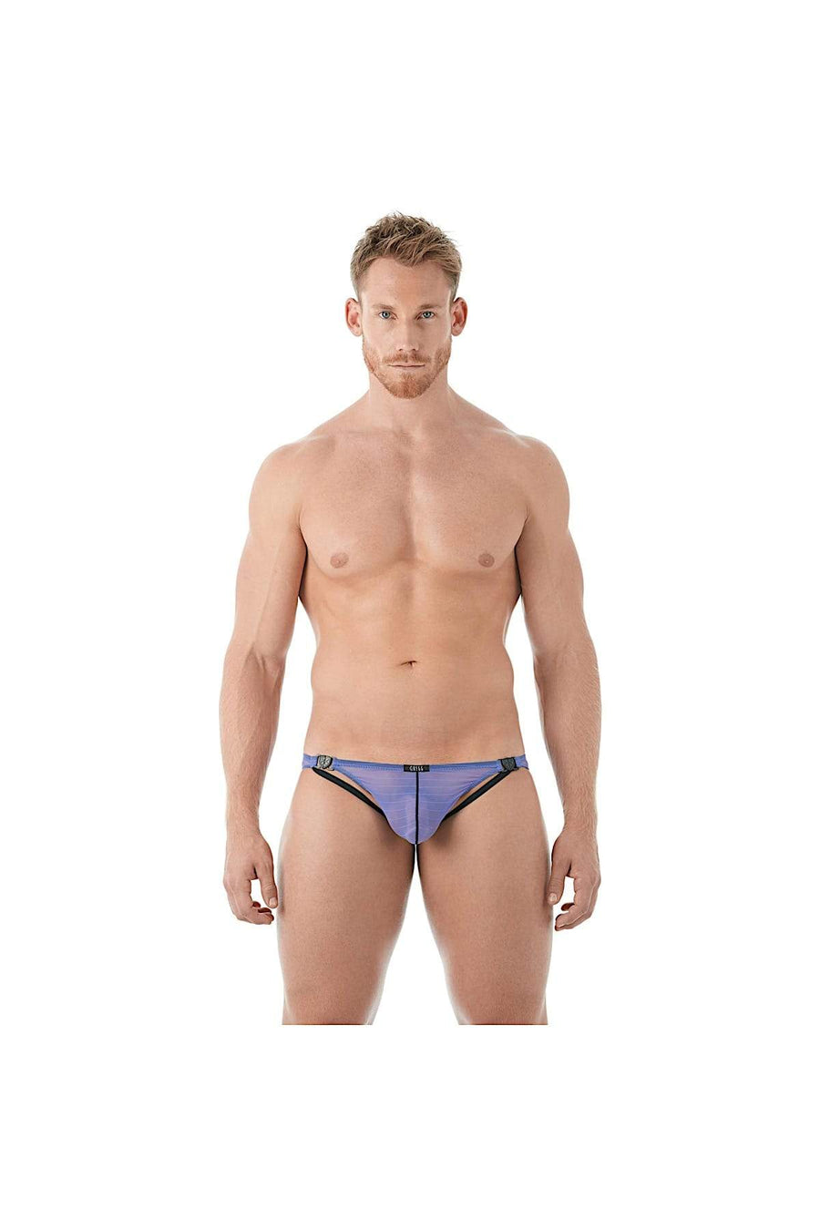 Gregg Homme Purple Mesh Suspender C-Ring Brief