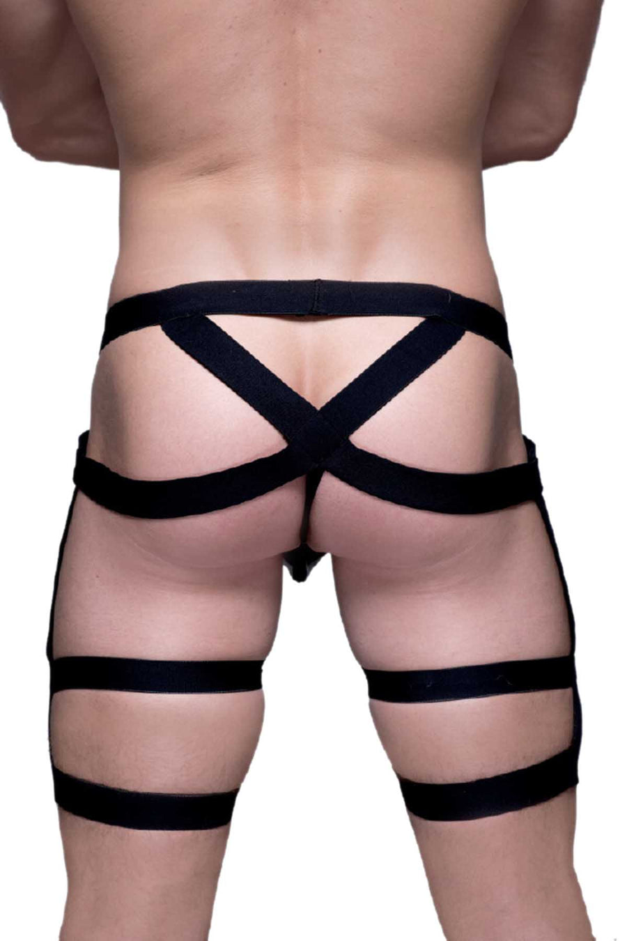 Tartarus Black Leg Harness