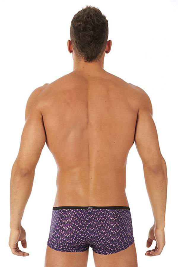 Gregg Homme Purple Celebration Boxer Brief