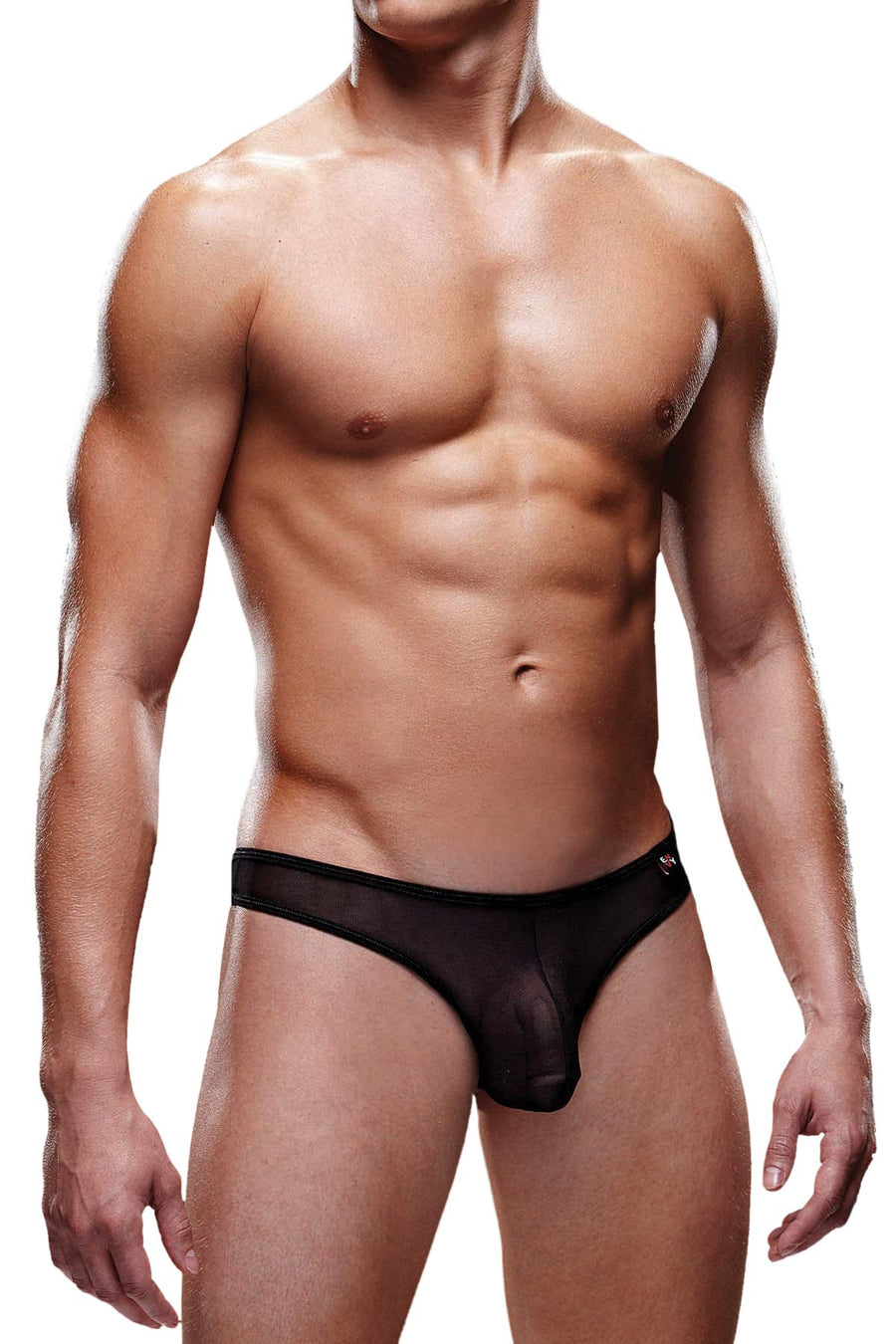 Envy Black Mesh Brief