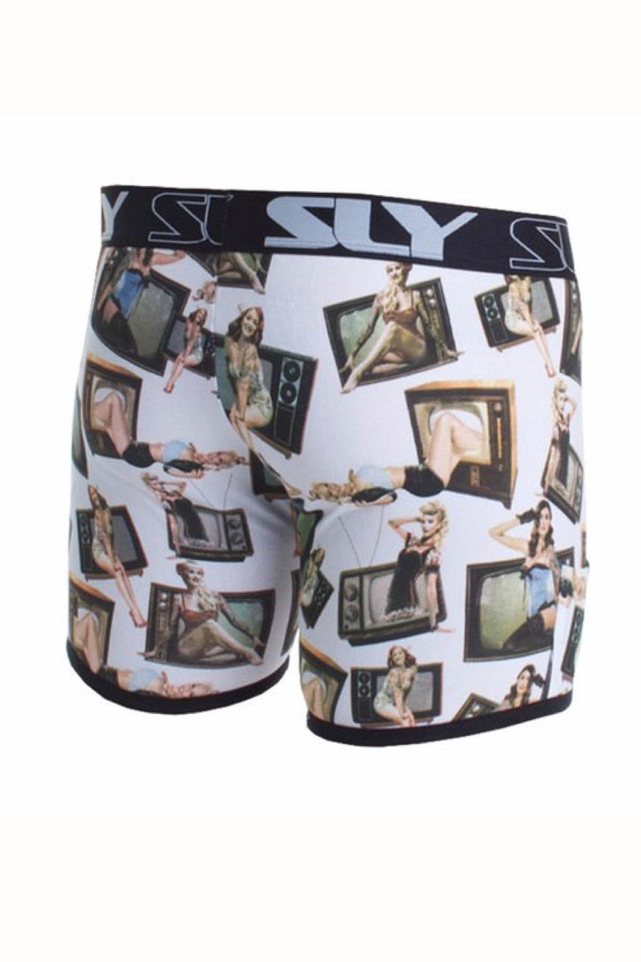 Sly White Pinups Boxer Brief