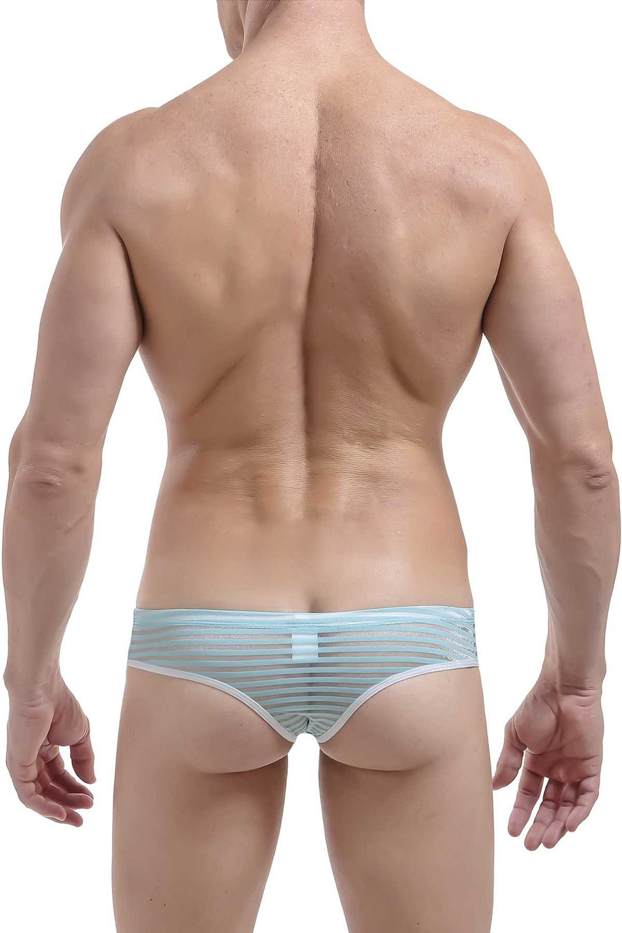 PetitQ Blue Invisible Trunk