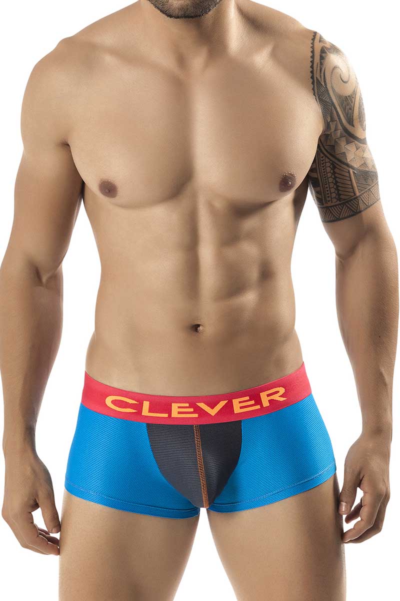 Clever Blue Custok Latin Boxer