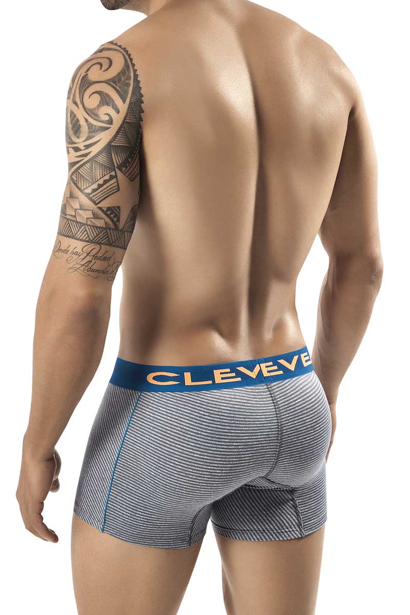 Clever Grey Isernia Latin Boxer