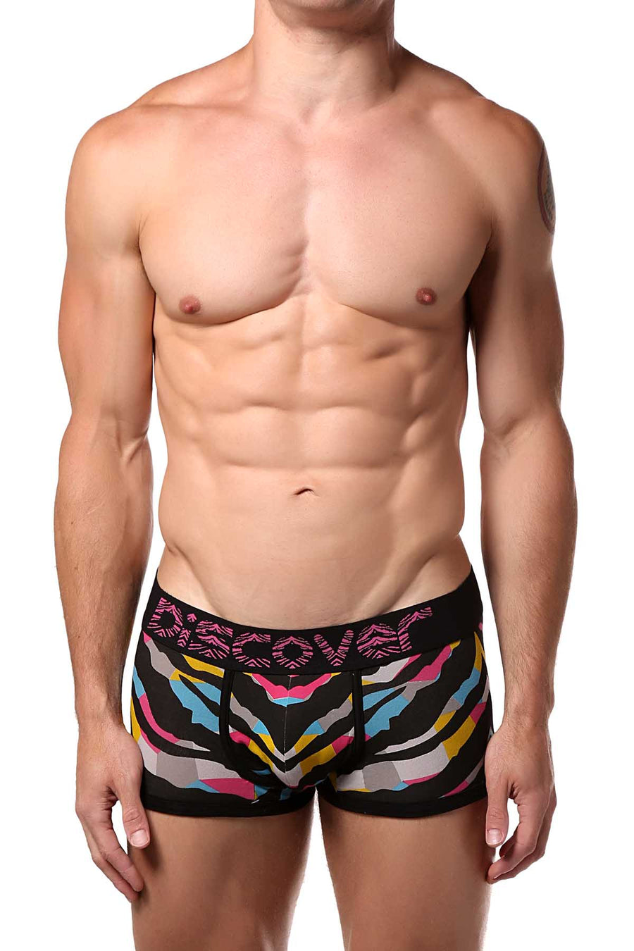 Discover Multi-Colored Zebra Trunk