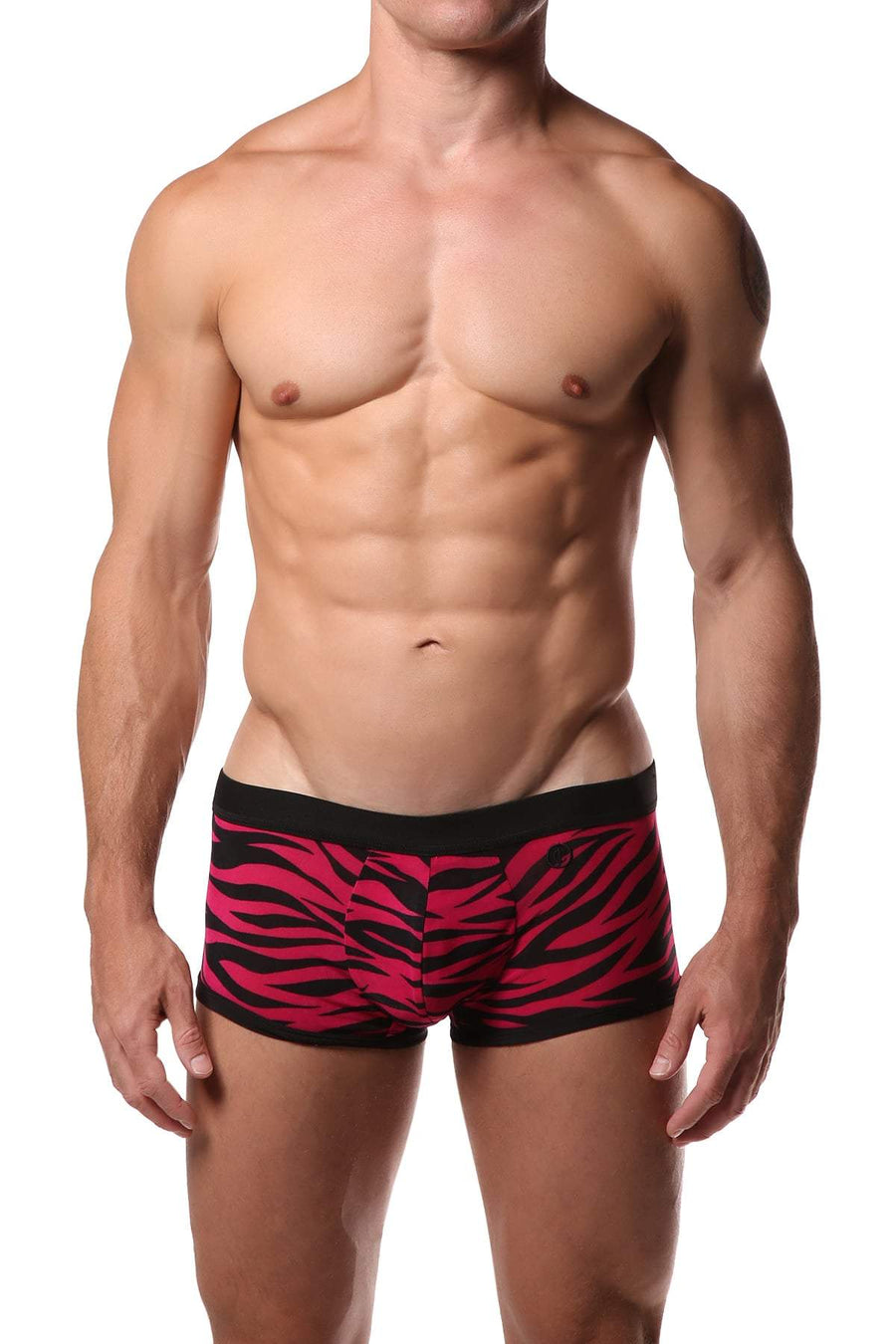 JustinCase Pink Zebra Trunk