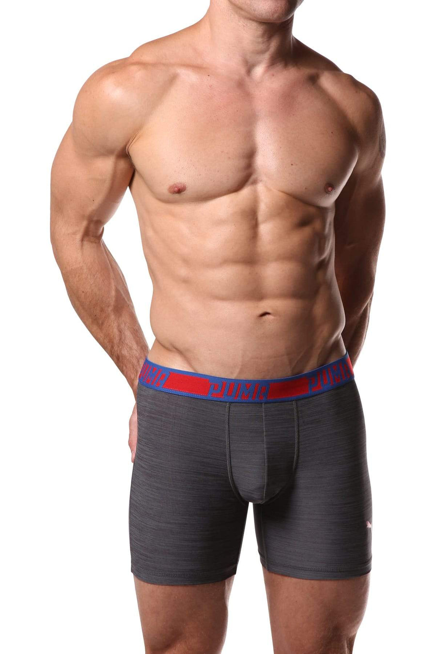 PUMA Grey Stripe Boxer Brief