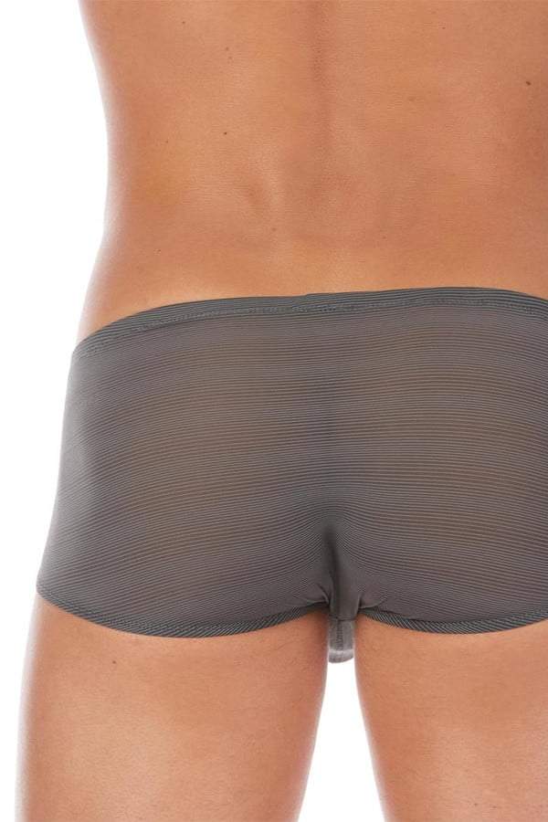 Gregg Homme Grey Baller Boxer Brief