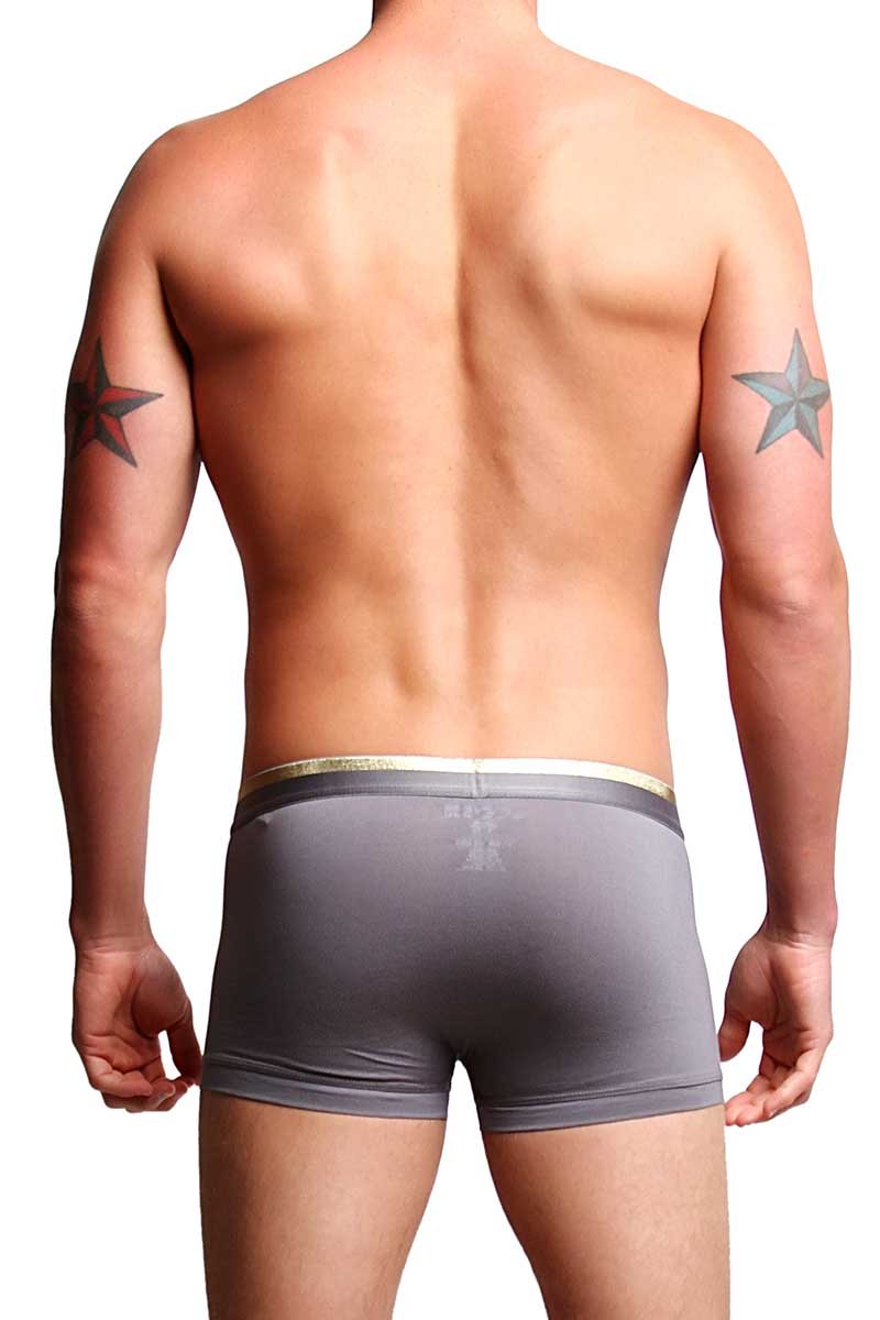 Joe's Jeans Grey & Gold Trunk