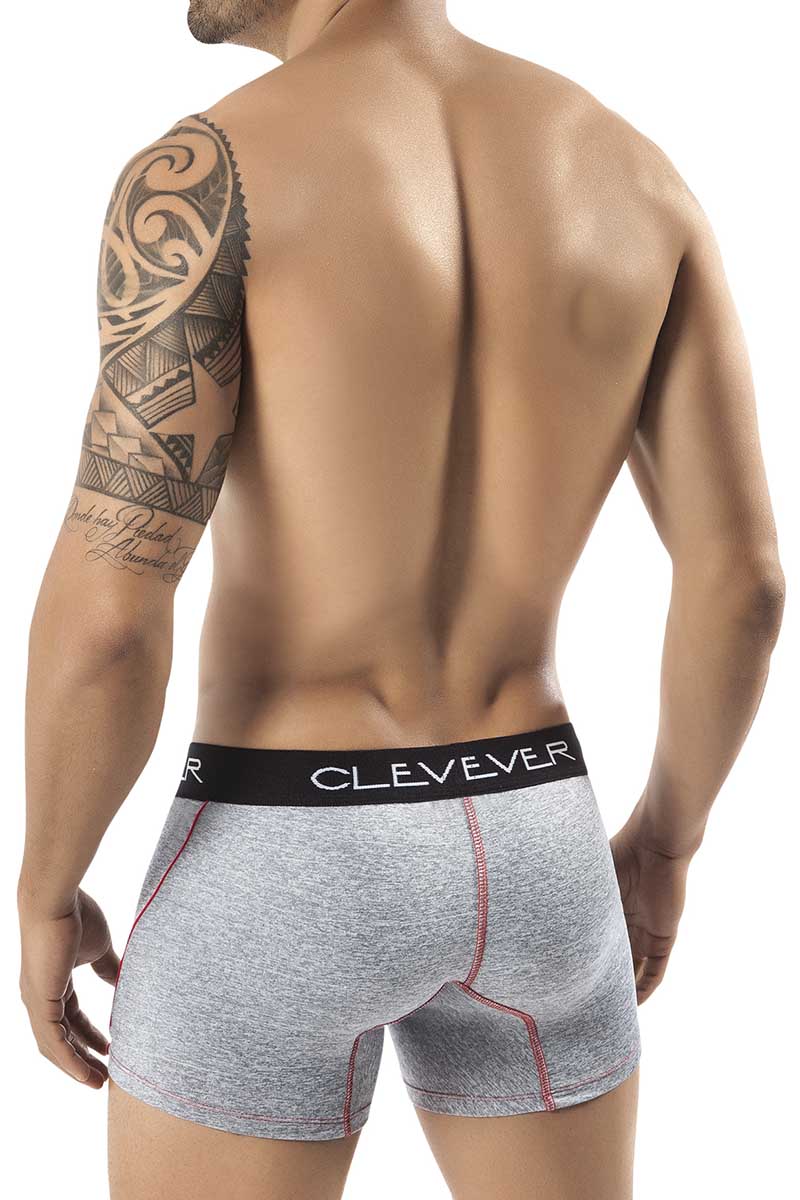 Clever Grey Morelo Boxer