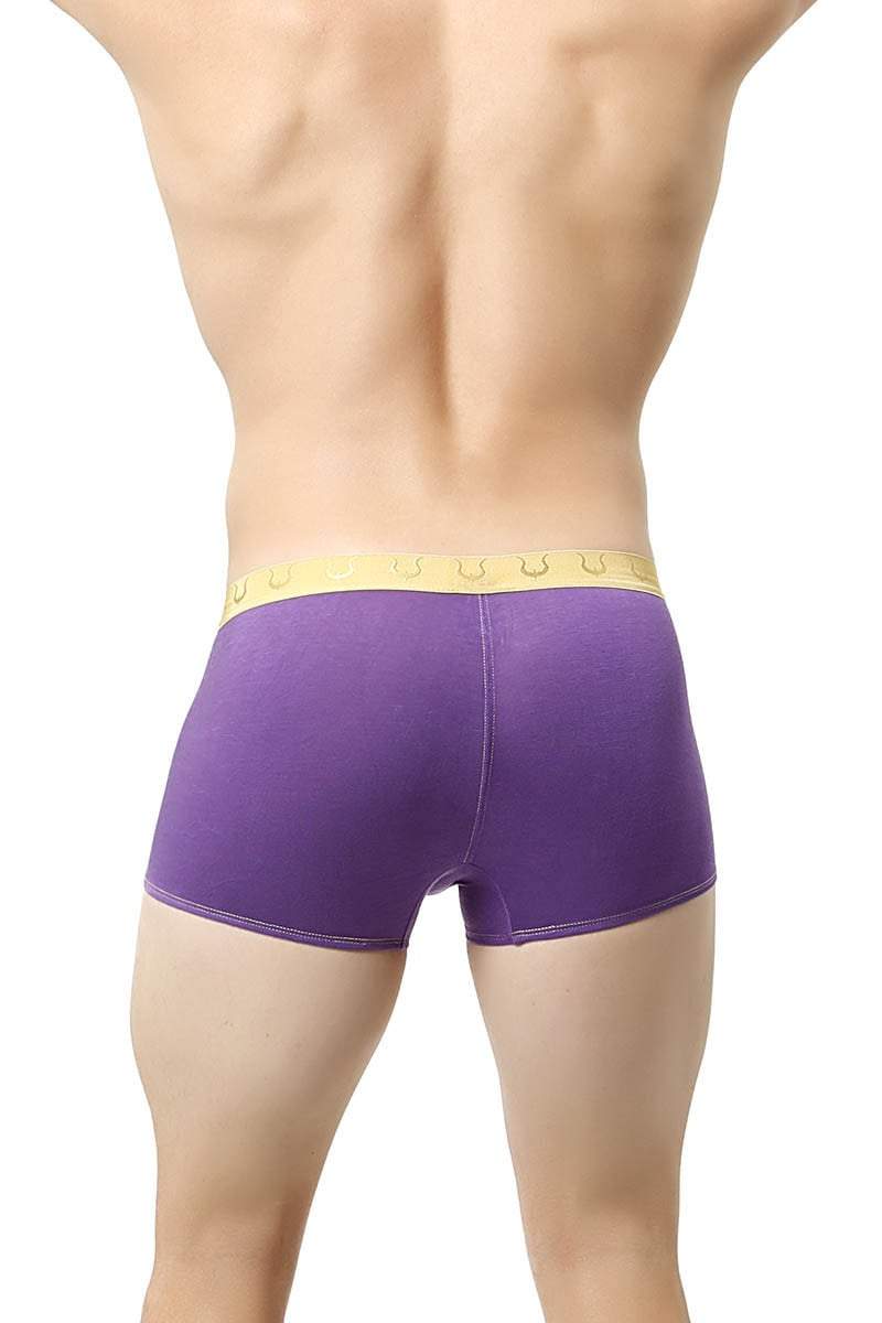 Hades Purple Monaco Trunk
