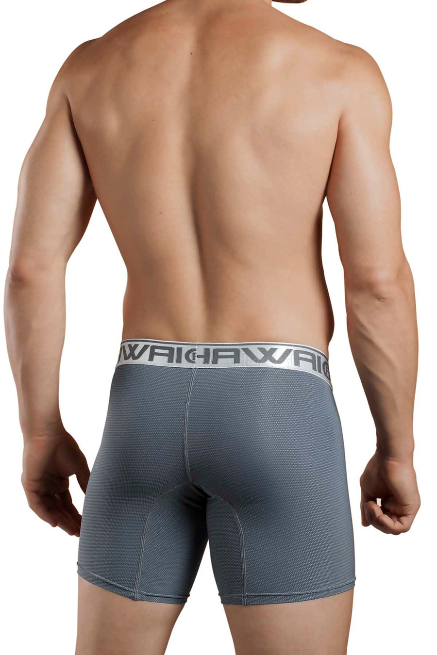 Hawai Grey Krimby Boxer