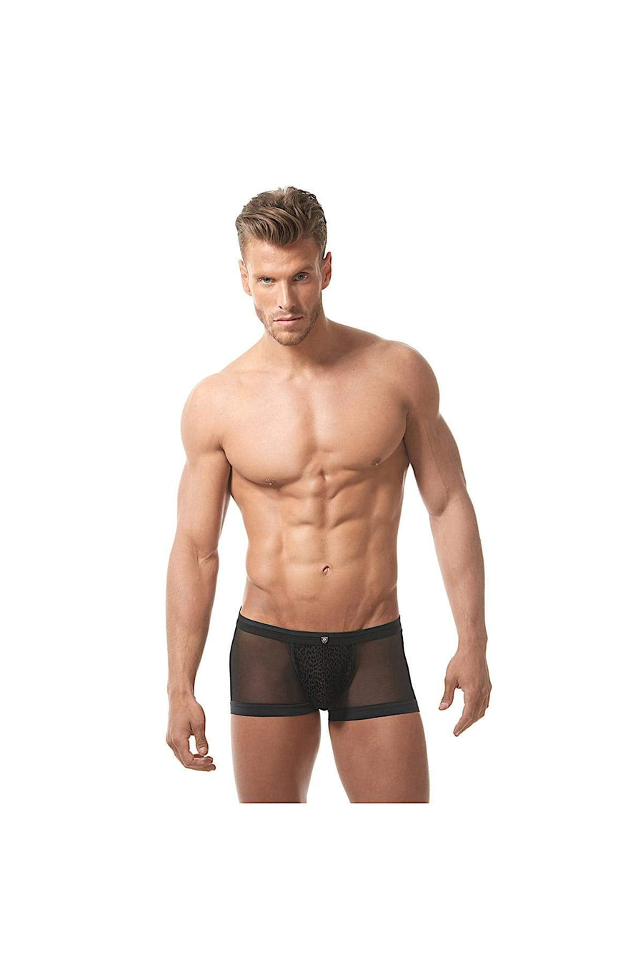 Gregg Homme Black Lust Mesh Velvet Trunk