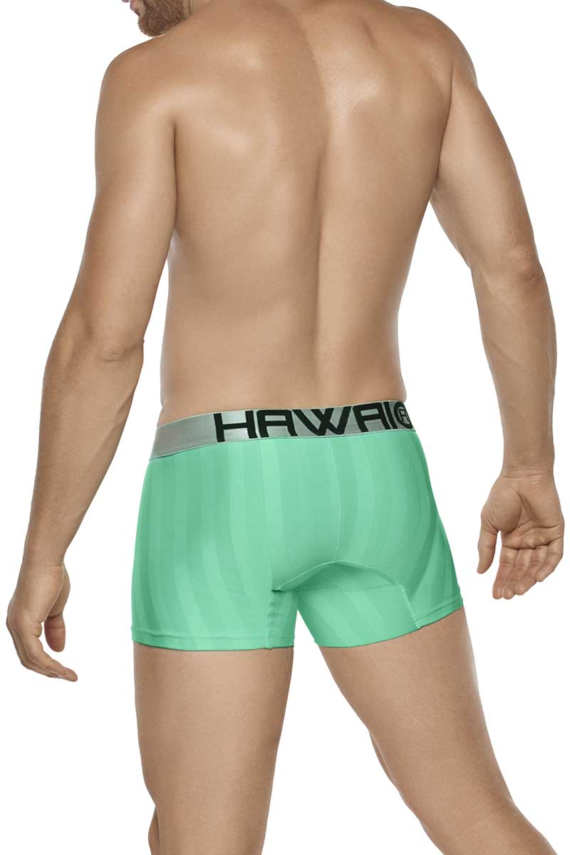 Hawai Mint Stretch Boxer Brief