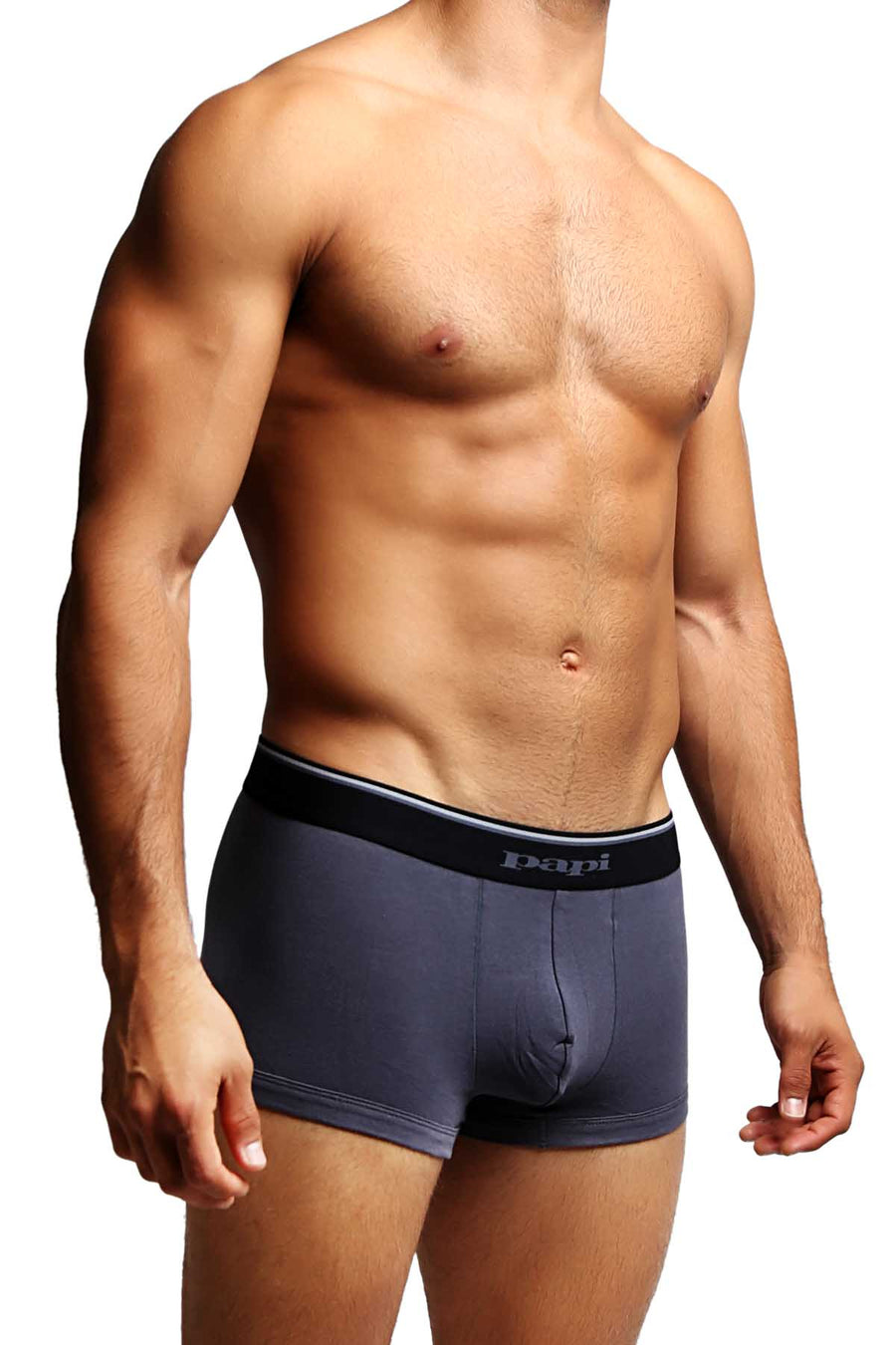 2-Pack Papi Grey Stripes Stretch Brazilian Trunks