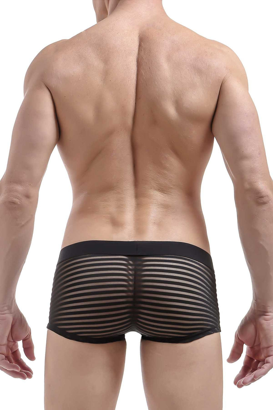 PetitQ Black Longwy Trunk