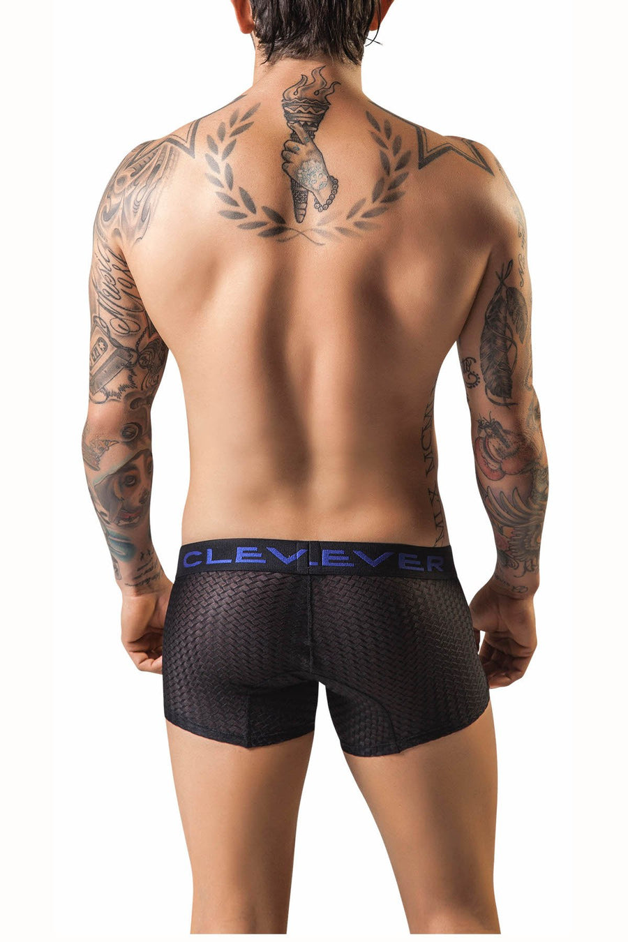 Clever Black Catay Boxer