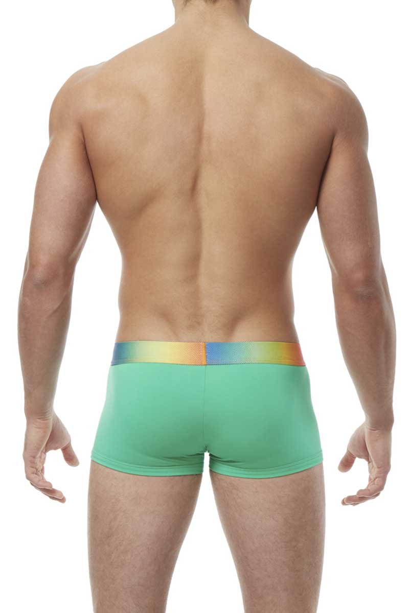 Papi Green Rainbow Brazilian Trunk
