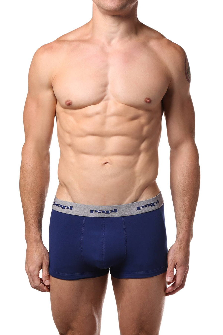 Papi Grey/Blue/Print Brazilian Trunk 3-Pack