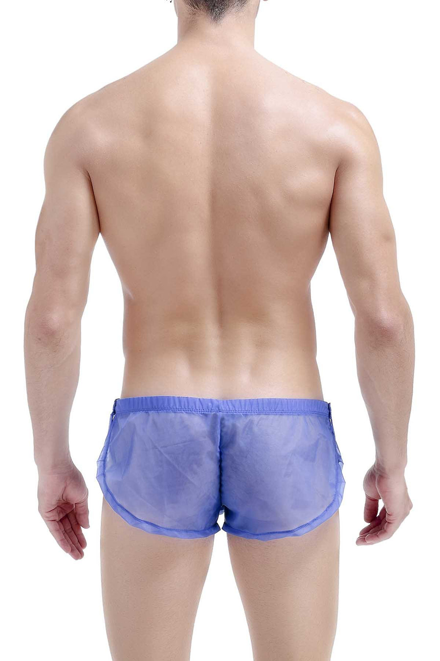 PetitQ Blue Sheer Snap Short