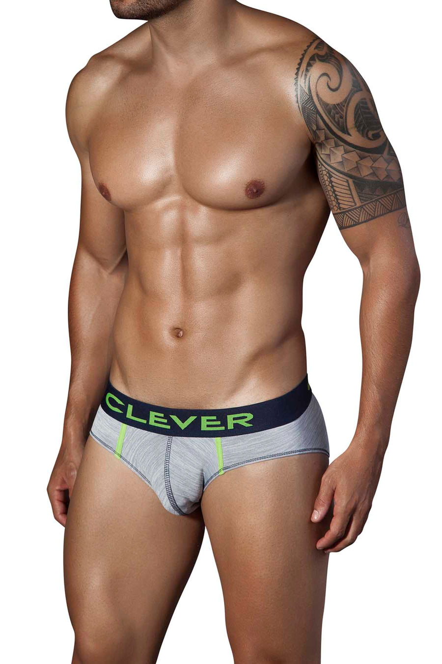 Clever Grey Jasper Latin Brief